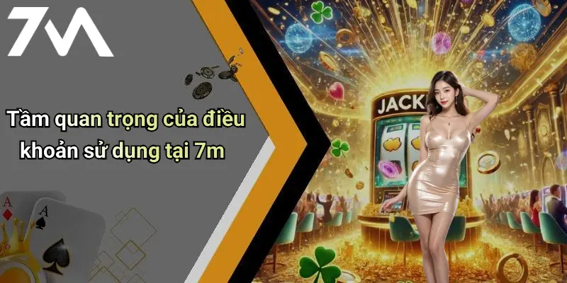 Tầm quan trọng của điều khoản sử dụng tại 7m