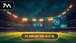 7M Nhận định bóng đá uy tín